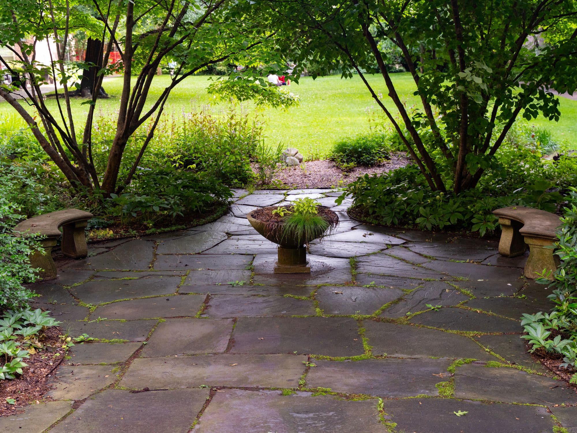 A bluestone patio with two curved stone benches and a planted urn, framed by multi-stem trees and shade plantings