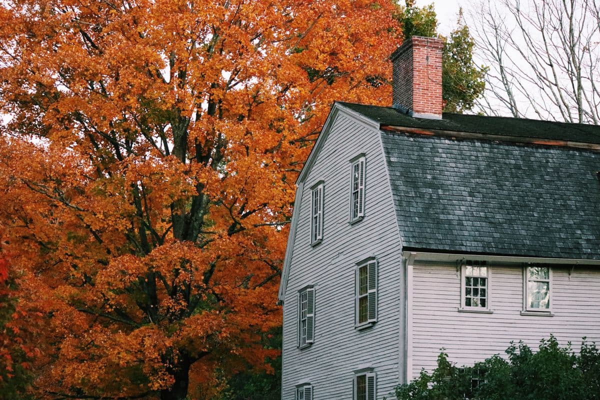 A gray clapboard colonial beside a sugar maple in full fall color