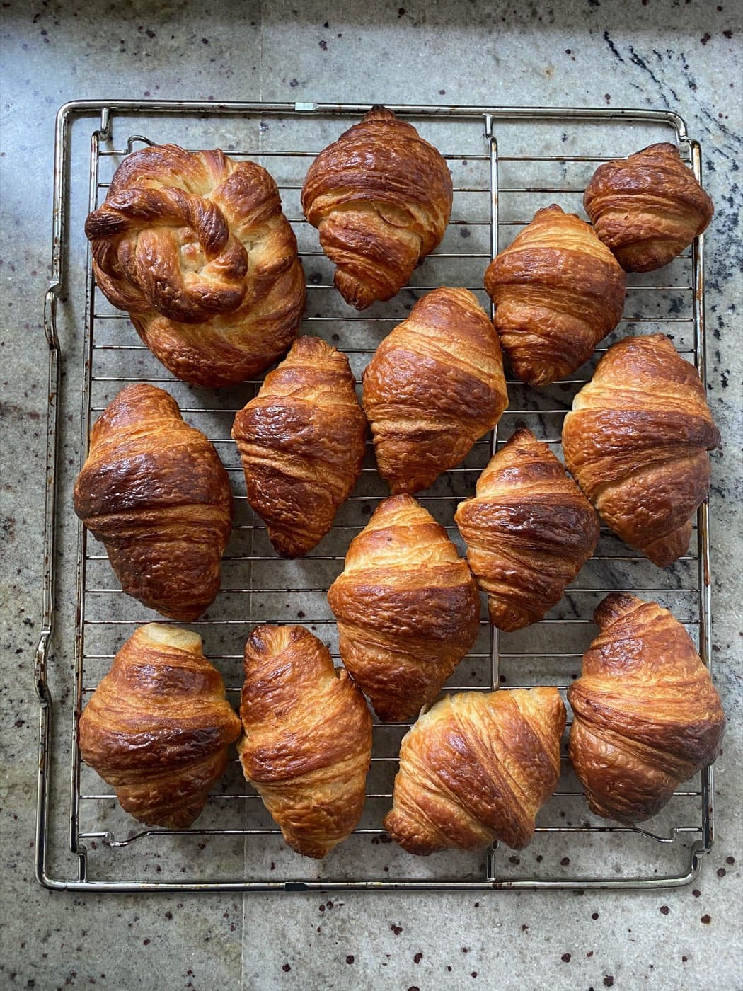 A dozen deep-golden croissants cooling on a wire rack